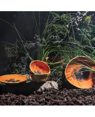 Platou oval, Frutos Tropicais Papaya - BORDALLO PINHEIRO